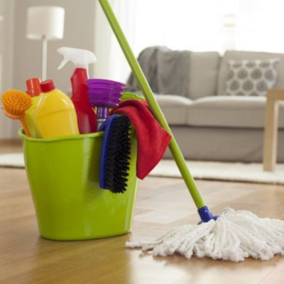 17 -Cleaning materials পরিষ্কারক দ্রব্য